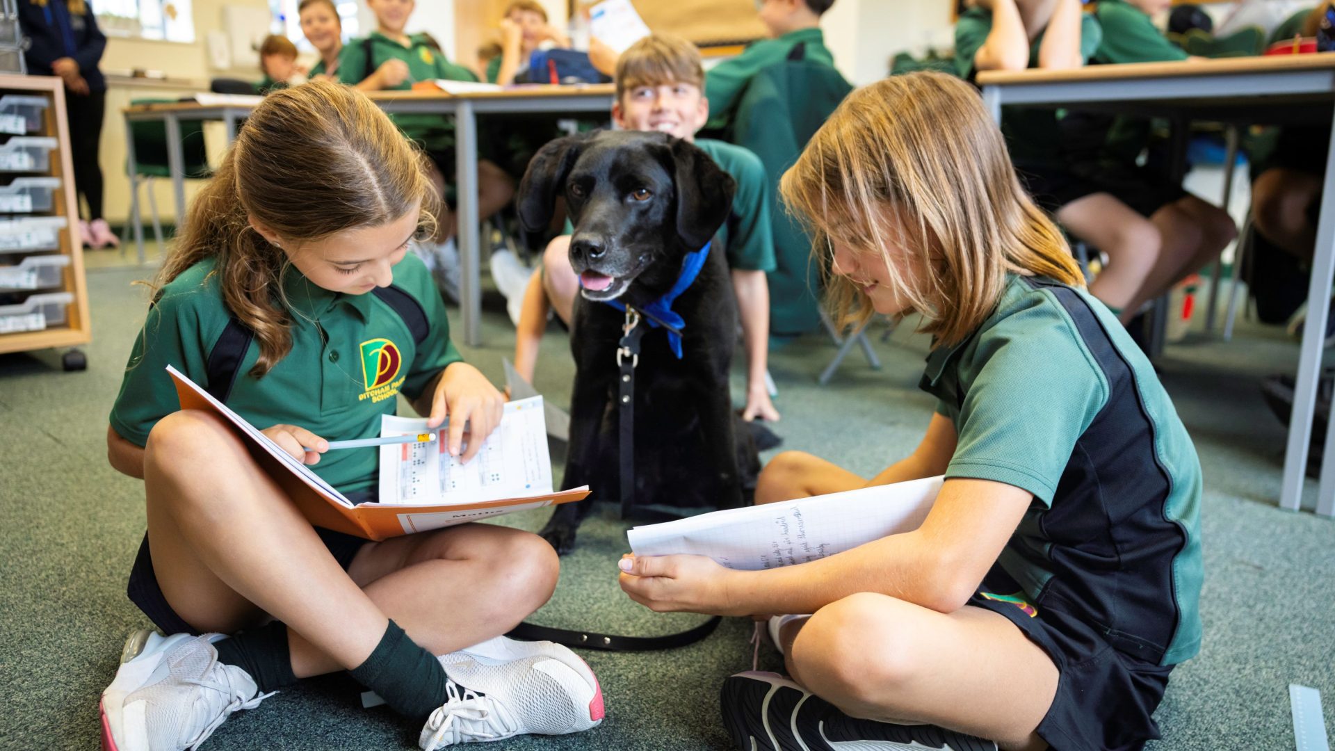 top school in Hampshire